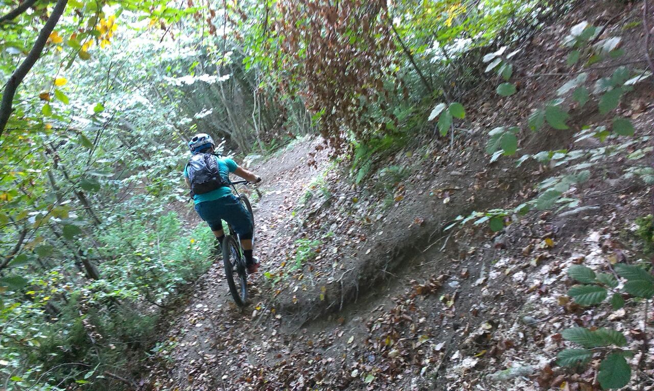 IMG-20140927-WA0017
