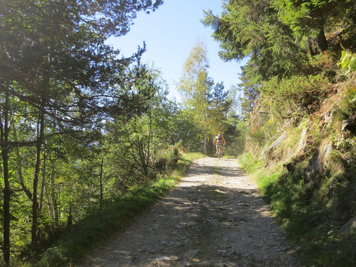IMG 0801
