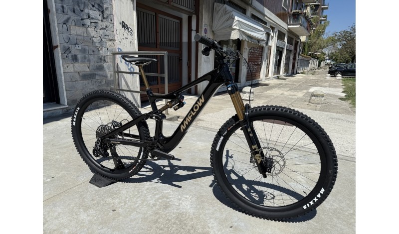 AMFLOW PL CARBON PRO 2026